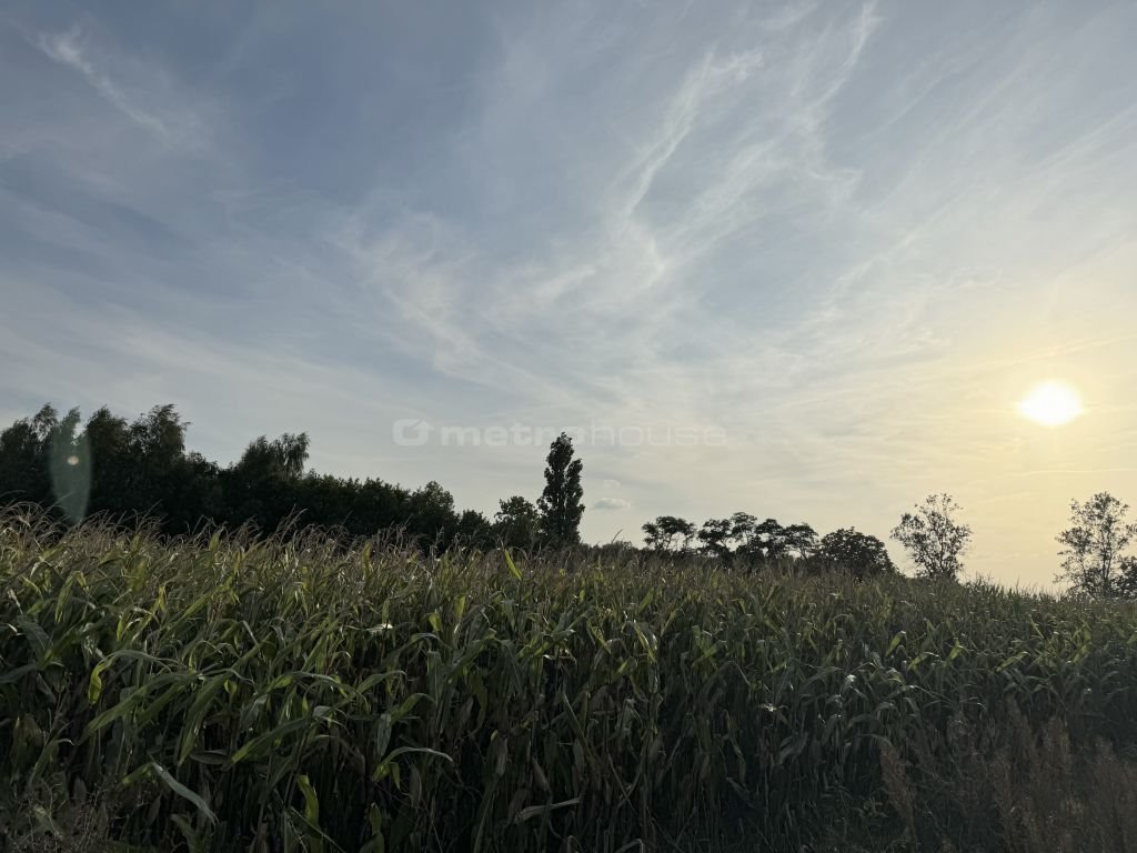 Działka inna na sprzedaż Łobódź  5 000m2 Foto 1