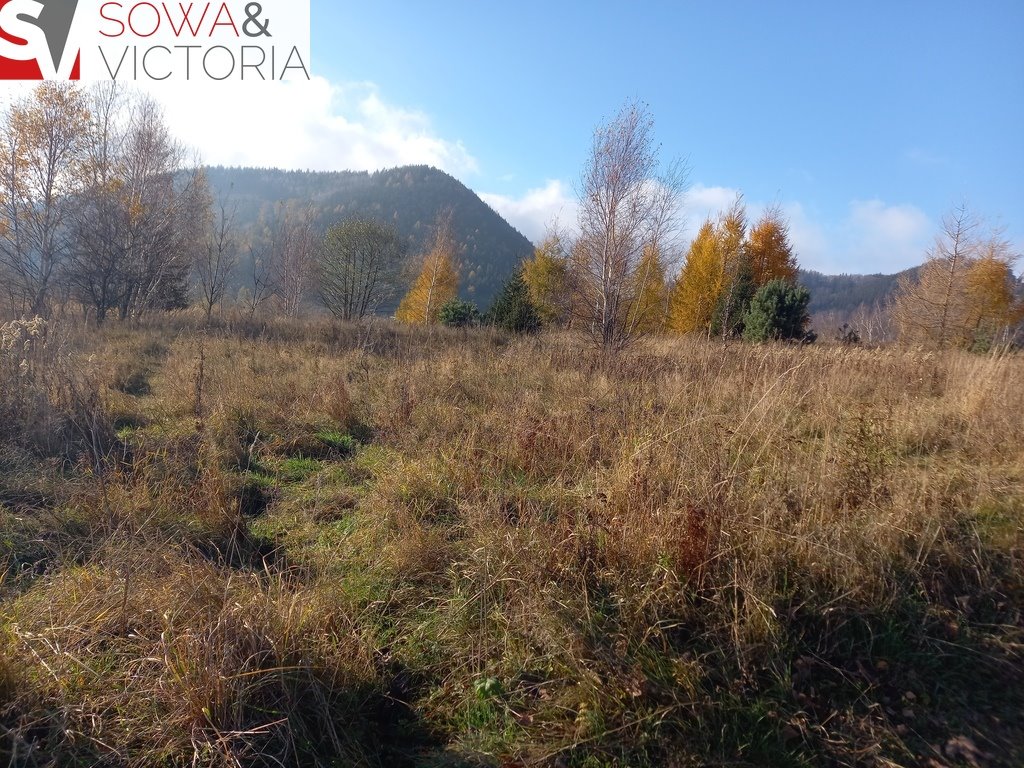 Działka budowlana na sprzedaż Jedlina-Zdrój  21 151m2 Foto 3