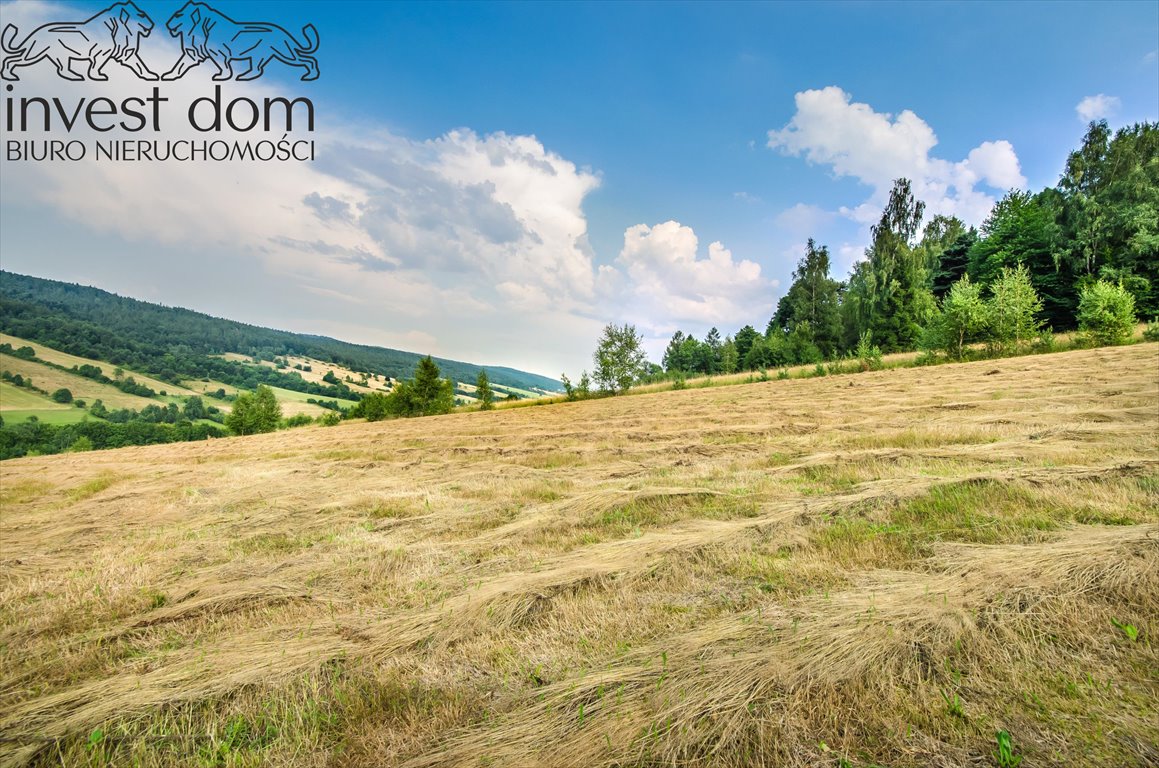 Działka budowlana na sprzedaż Małastów  24 800m2 Foto 1