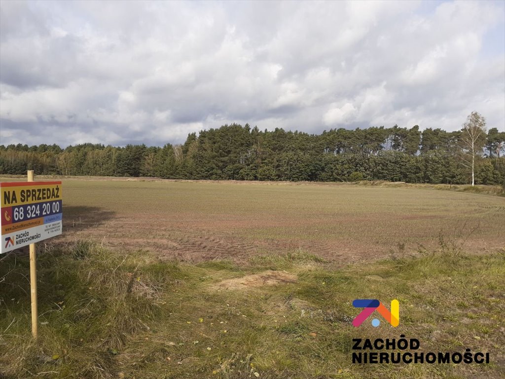 Działka inwestycyjna na sprzedaż Bieżyce  16 800m2 Foto 1