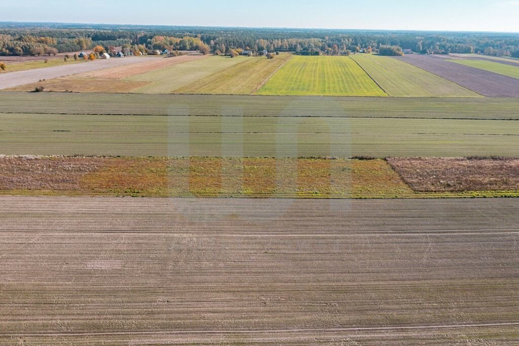 Działka budowlana na sprzedaż Krajęczyn  3 000m2 Foto 3