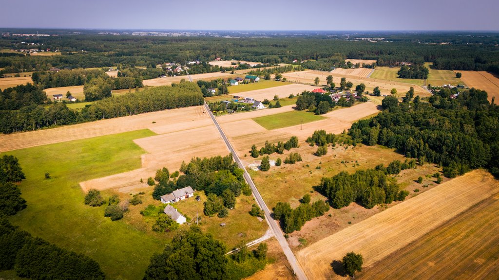 Działka budowlana na sprzedaż Adamów  1 255m2 Foto 3