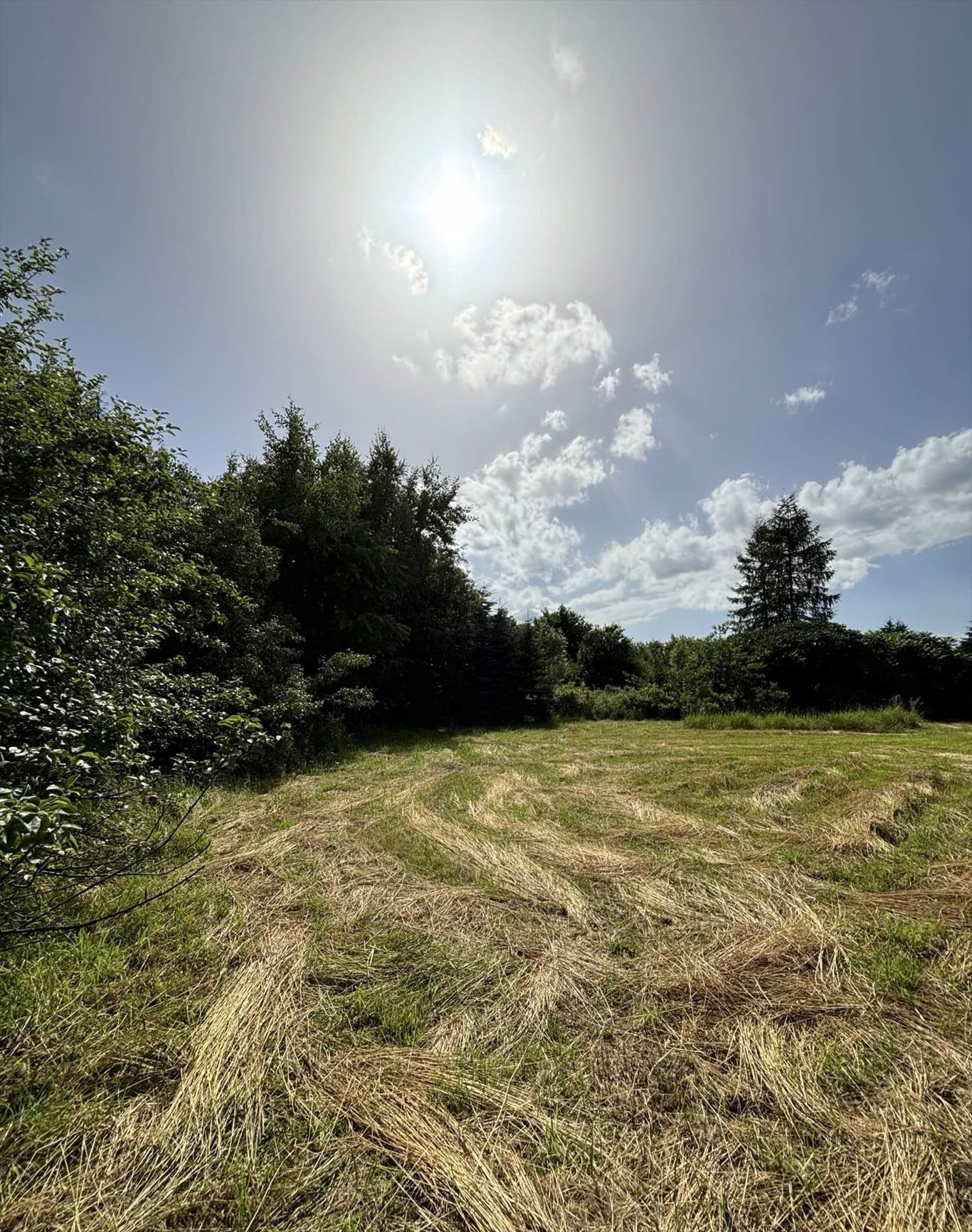 Działka budowlana na sprzedaż Wołowice  7 100m2 Foto 3