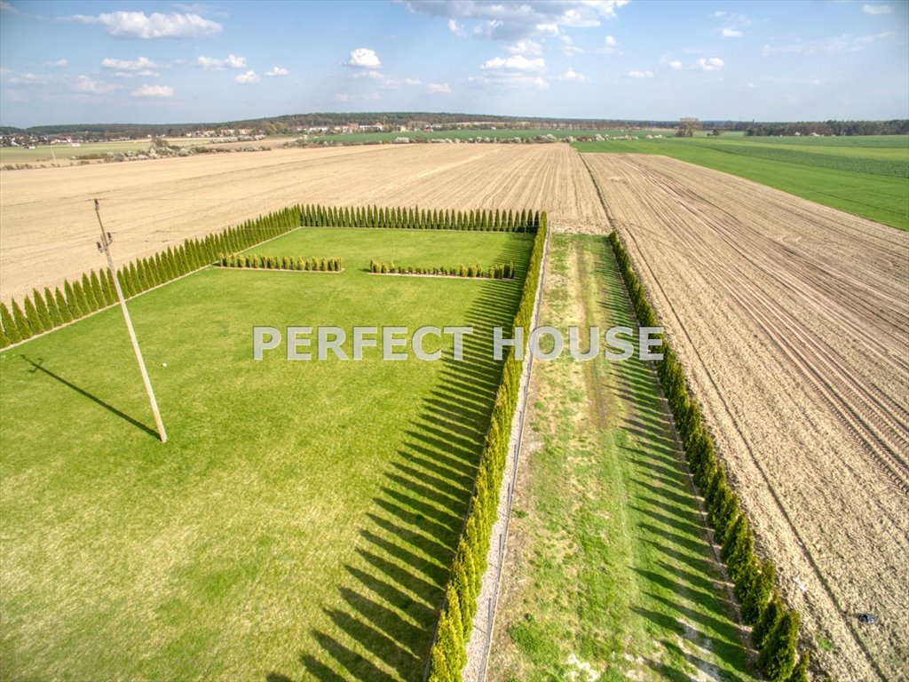 Działka budowlana na sprzedaż Walerianowo  1 000m2 Foto 3