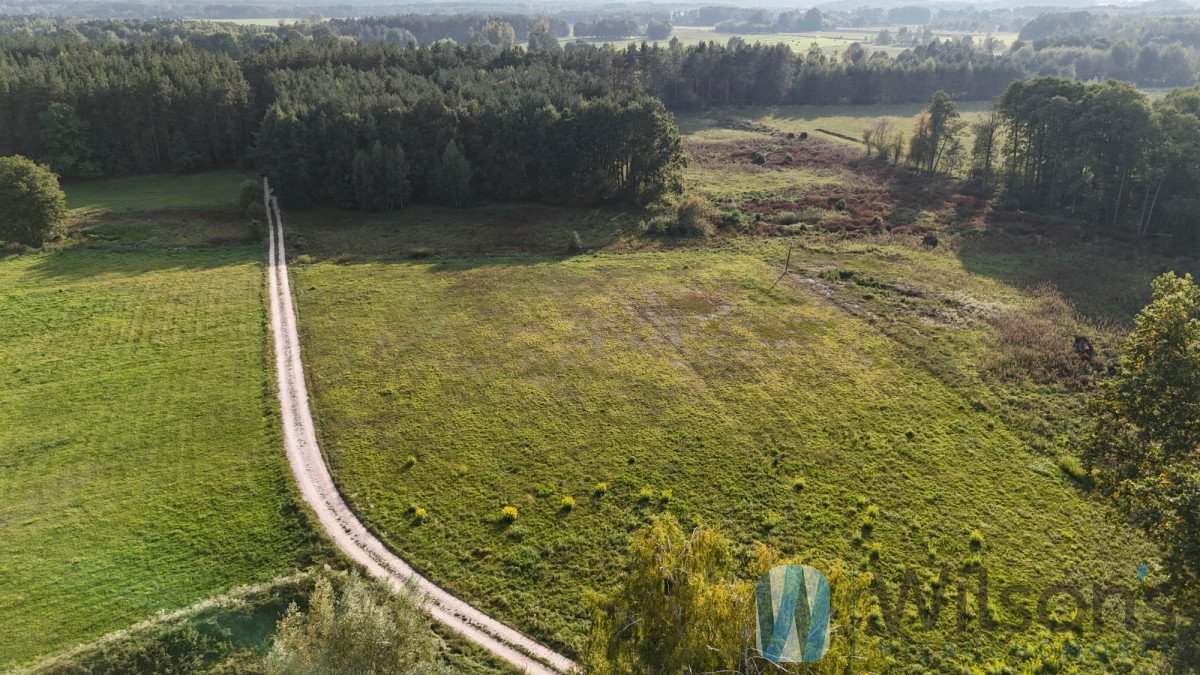 Działka budowlana na sprzedaż Bieliny  24 880m2 Foto 7