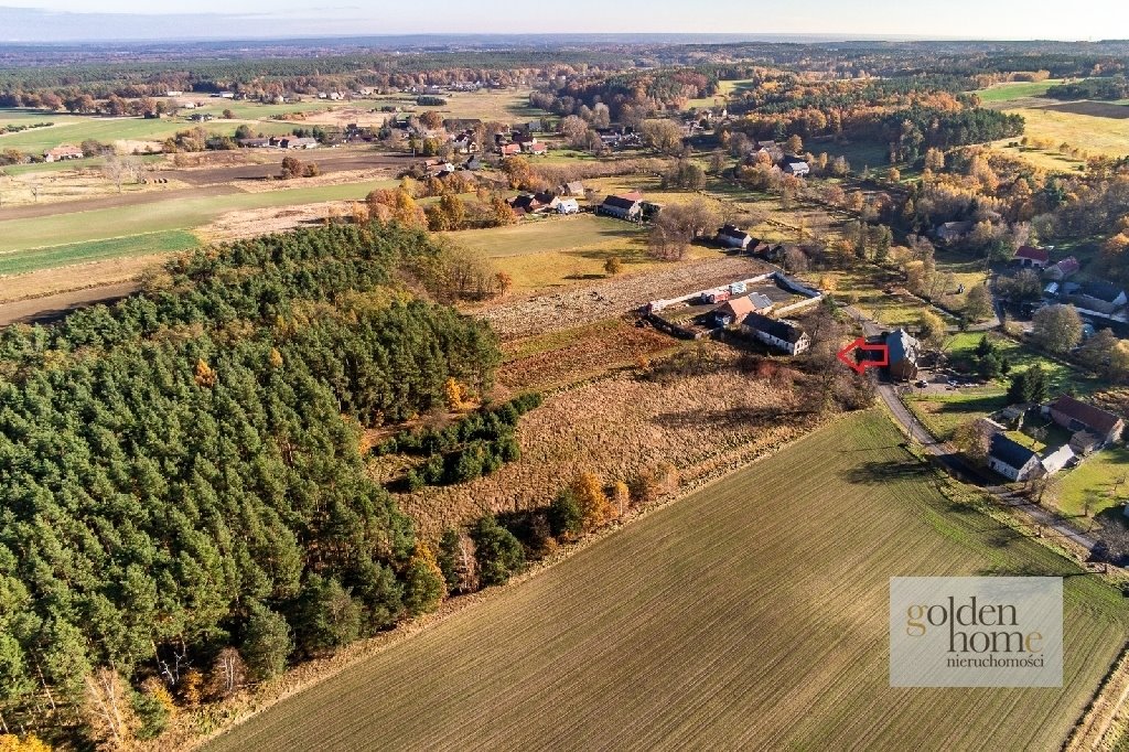 Dom na sprzedaż Biskupin, Biskupin  320m2 Foto 5