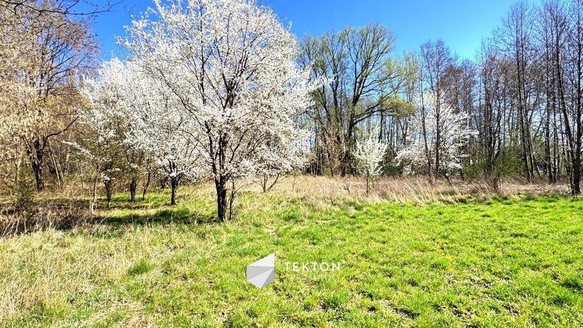 Działka budowlana 1802 m² z WZ i mediami w Jaktorowie Jaktorów, Szaserów  1 802m2 Foto 1