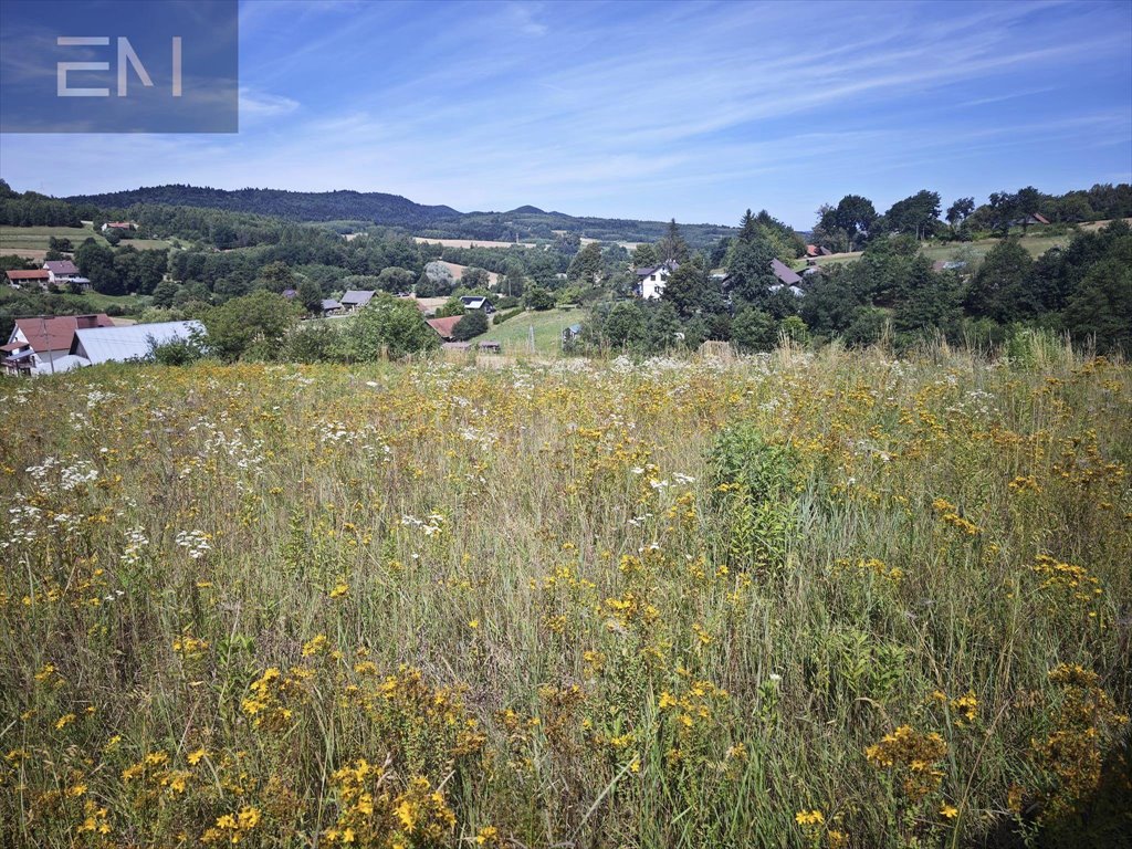 Działka rekreacyjna na sprzedaż Wysoka Strzyżowska  2 700m2 Foto 5