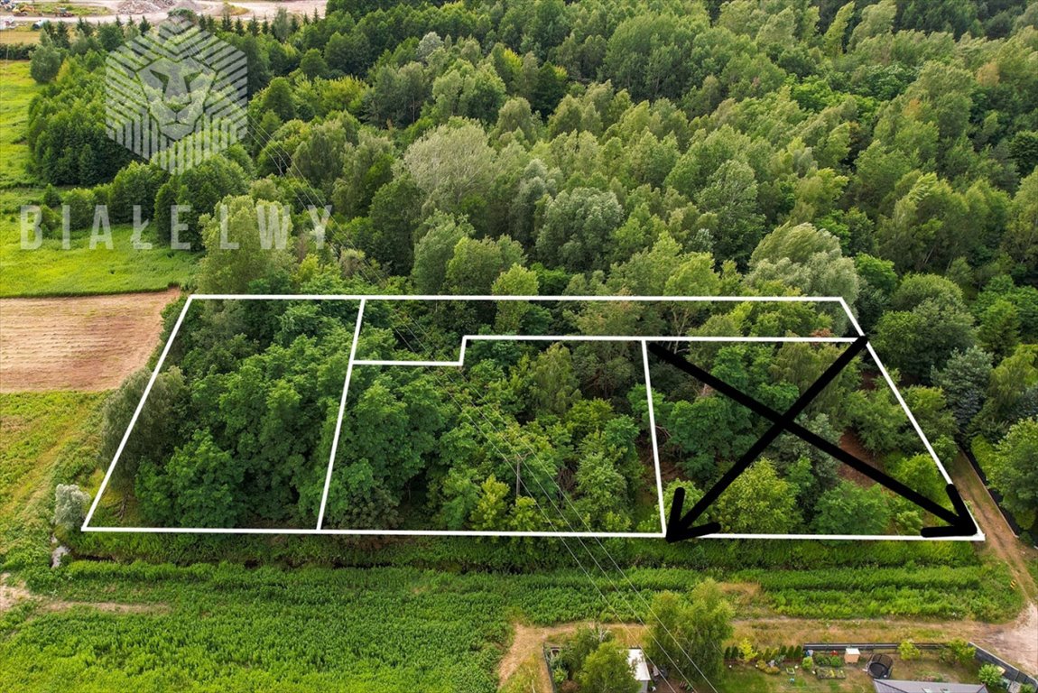 Działki pod dom w spokojnej okolicy Wilcza Góra Wilcza Góra, Polna  2 390m2 Foto 1