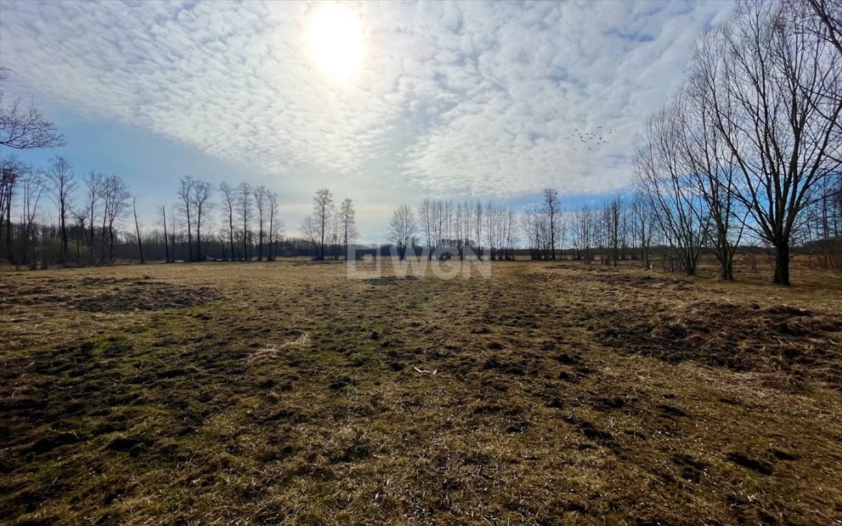 Działka inna na sprzedaż Brzozówka, Brzozówka  99 000m2 Foto 4