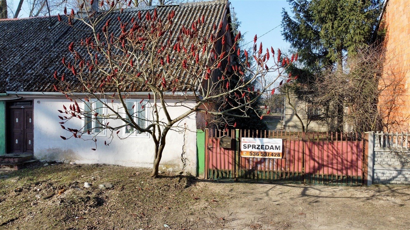 Działka 3417 m² z domem i budynkami w Dąbrowicach Dąbrowice, Stary Rynek  3 417m2 Foto 1