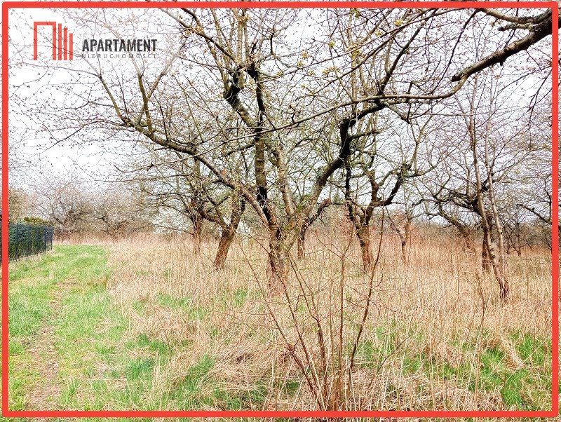 Działka budowlana 1380 m² w Tryszczynie – blisko natury Tryszczyn  1 380m2 Foto 1