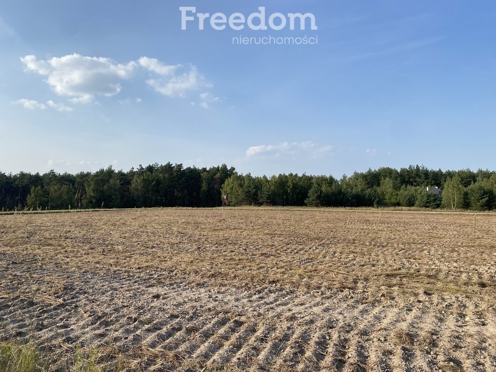 Działka rolna na sprzedaż Ciechocin  9 200m2 Foto 1