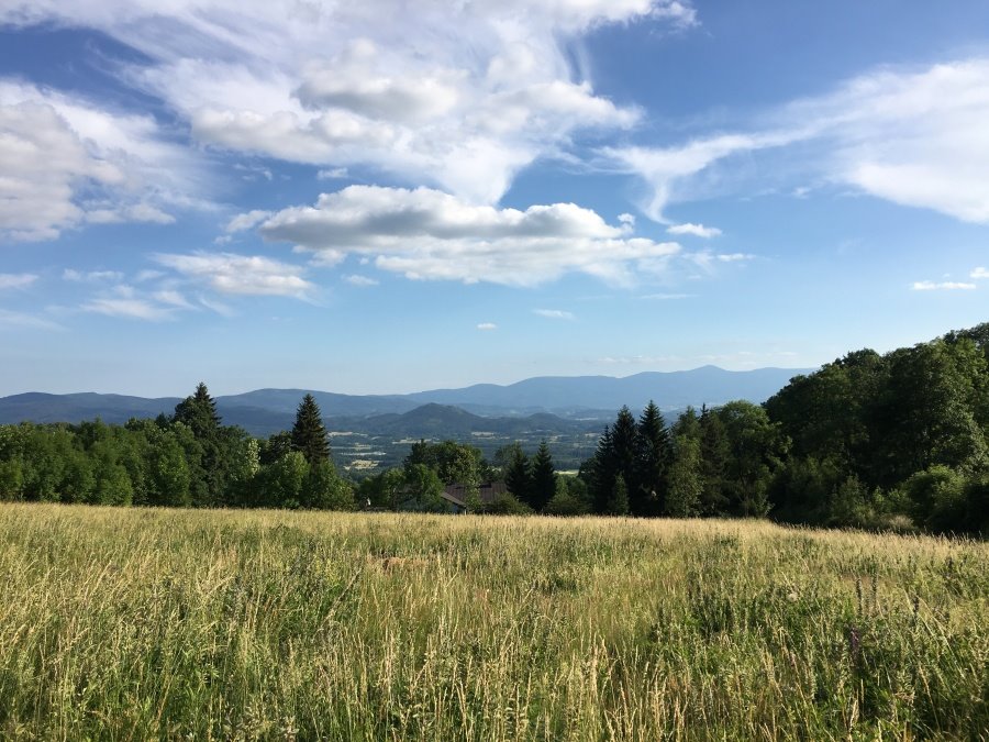 Działka budowlana na sprzedaż Komarno  2 000m2 Foto 3