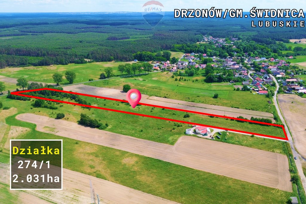 Działka rolna na sprzedaż Drzonów  20 314m2 Foto 17