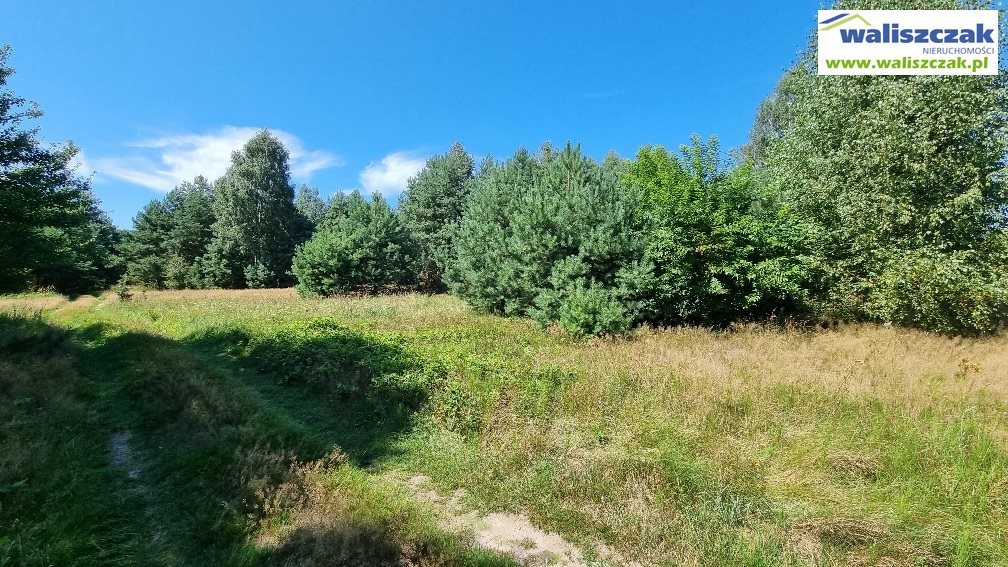 Działka leśna na sprzedaż Kuźnica Żerechowska  5 400m2 Foto 2