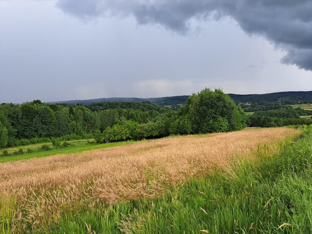 Działka rolna na sprzedaż Sieklówka  8 575m2 Foto 1