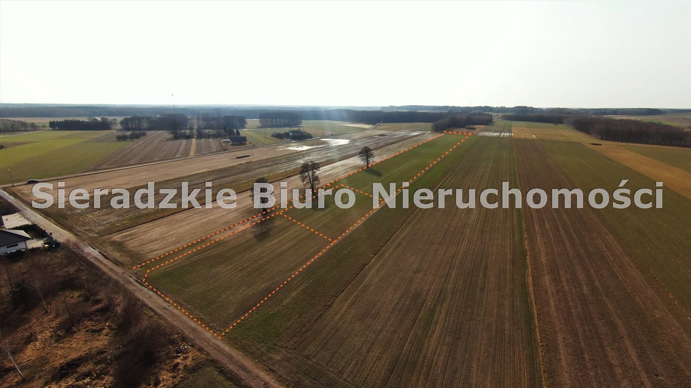 Zdjęcie 6