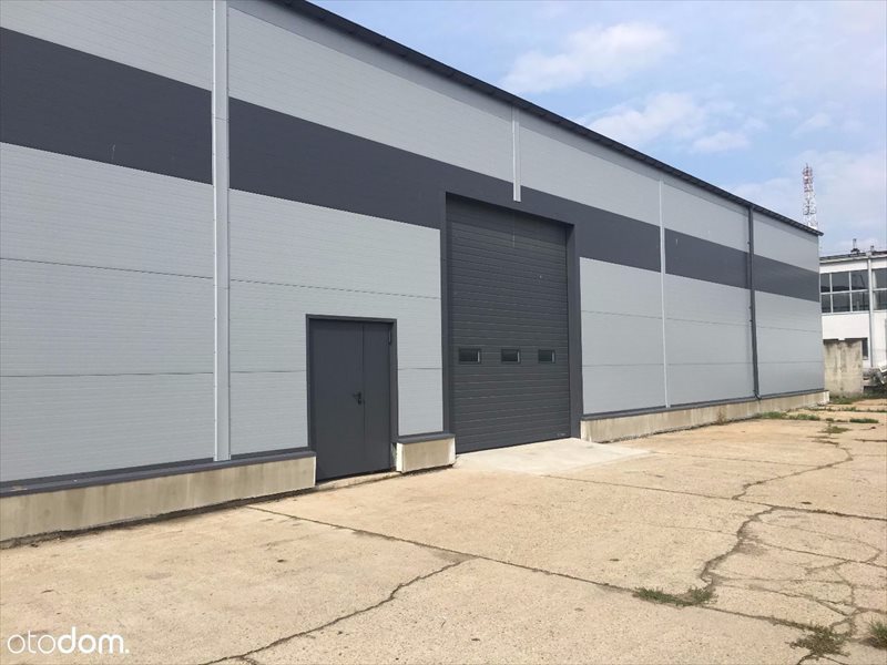 Lokal użytkowy na wynajem Słowik 800m2 Foto 1 Lokal użytkowy na wynajem Słowik 800m2 Foto 1