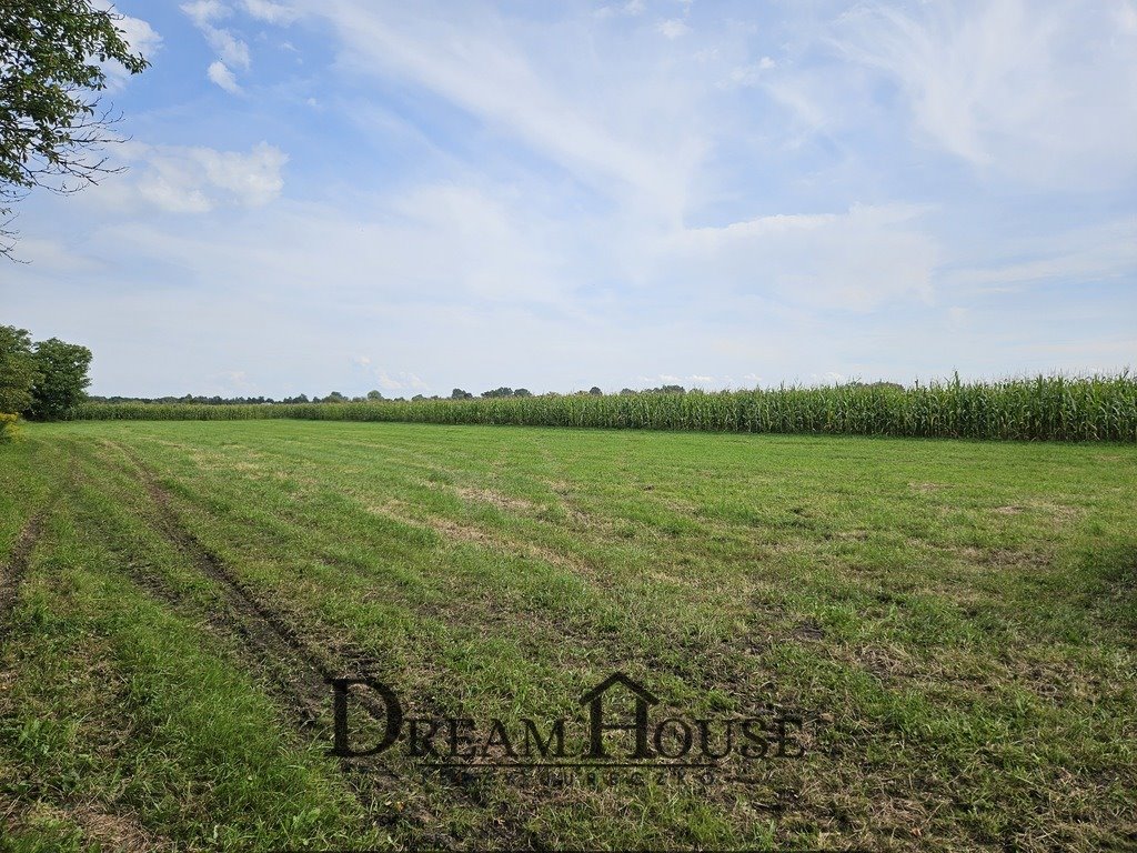 Działka budowlana na sprzedaż Białczyk  1 500m2 Foto 2