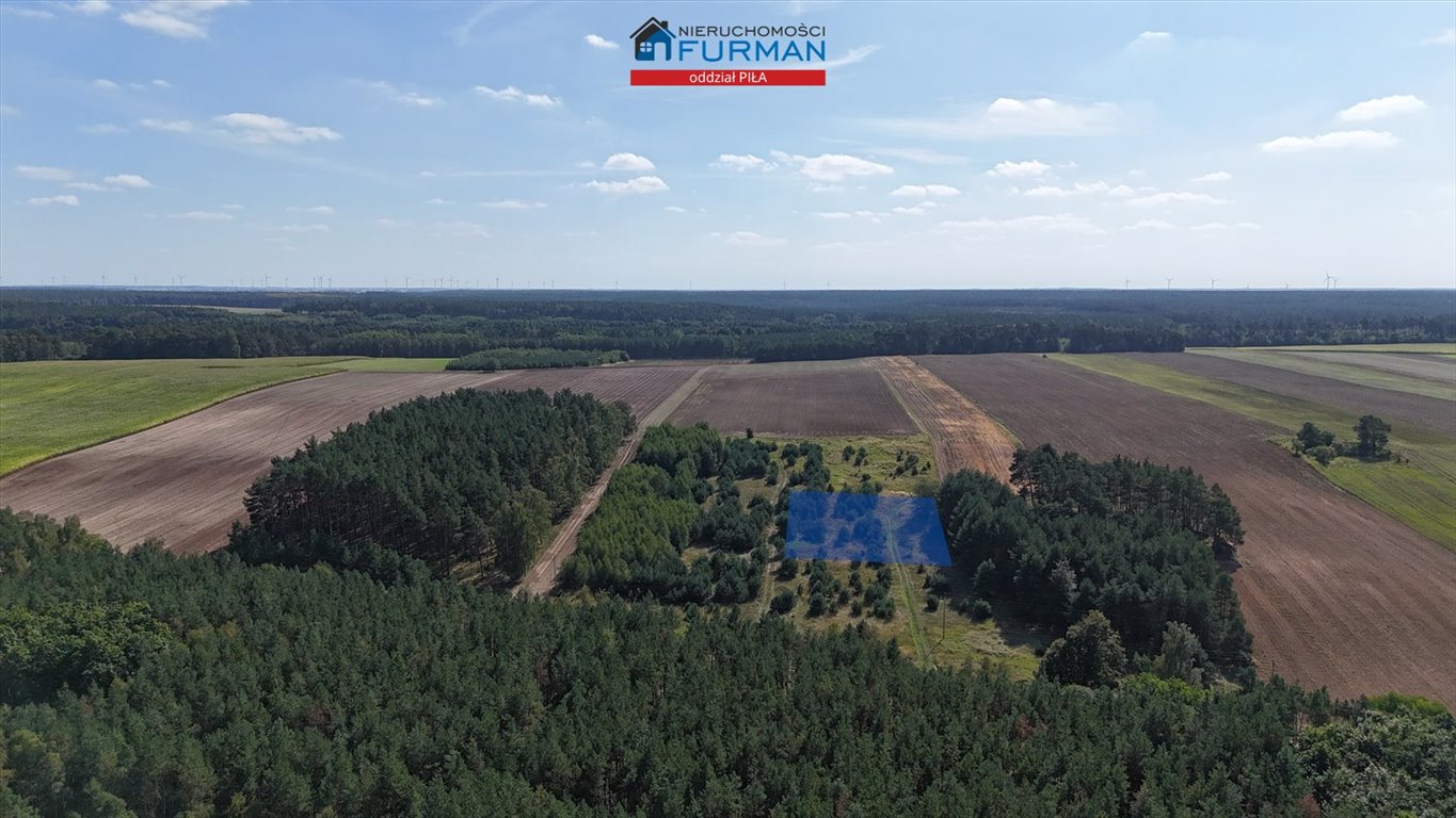 Na sprzedaż urodzajna działka rolna 3003 m² w Strzelczykach Strzelczyki  3 003m2 Foto 1