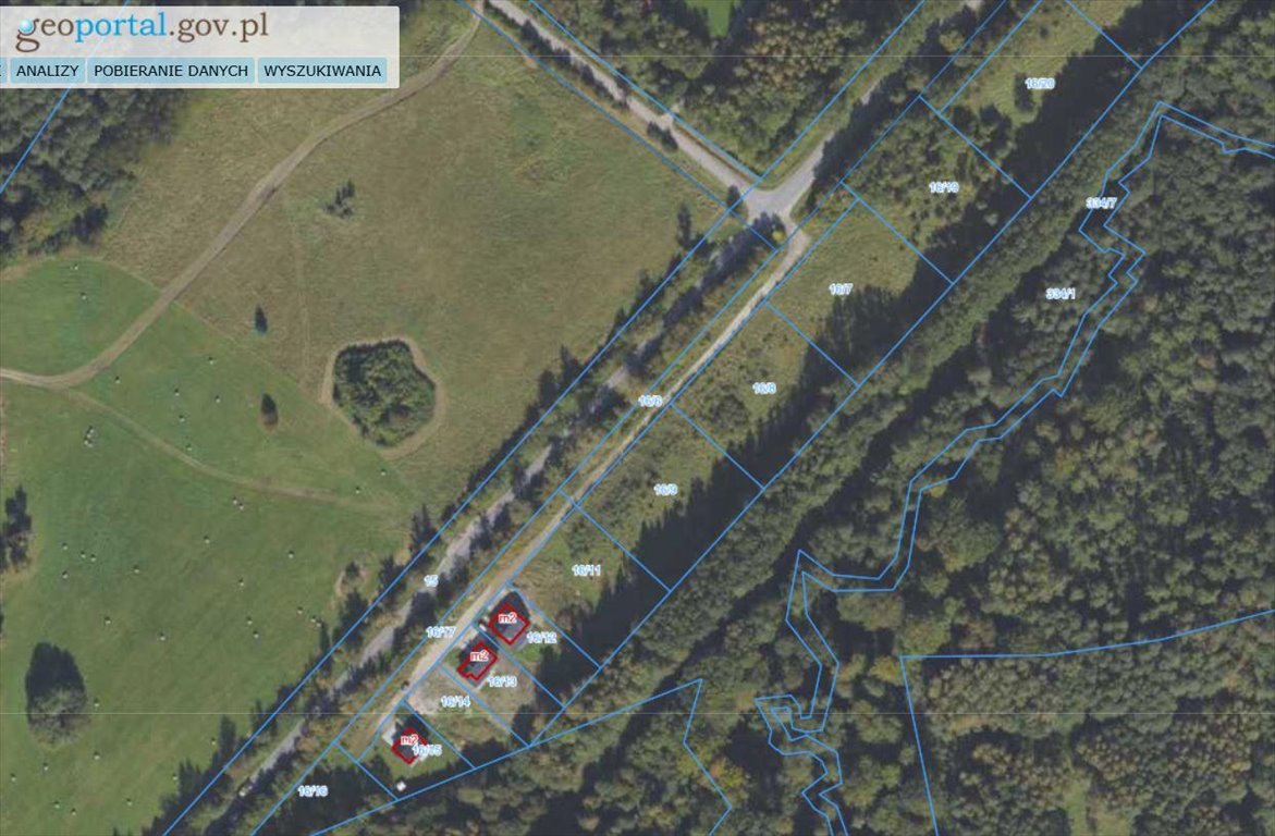 Działka 3005 m2 w Elblągu przy Królewieckiej, las, media Elbląg, Królewiecka  3 005m2 Foto 1