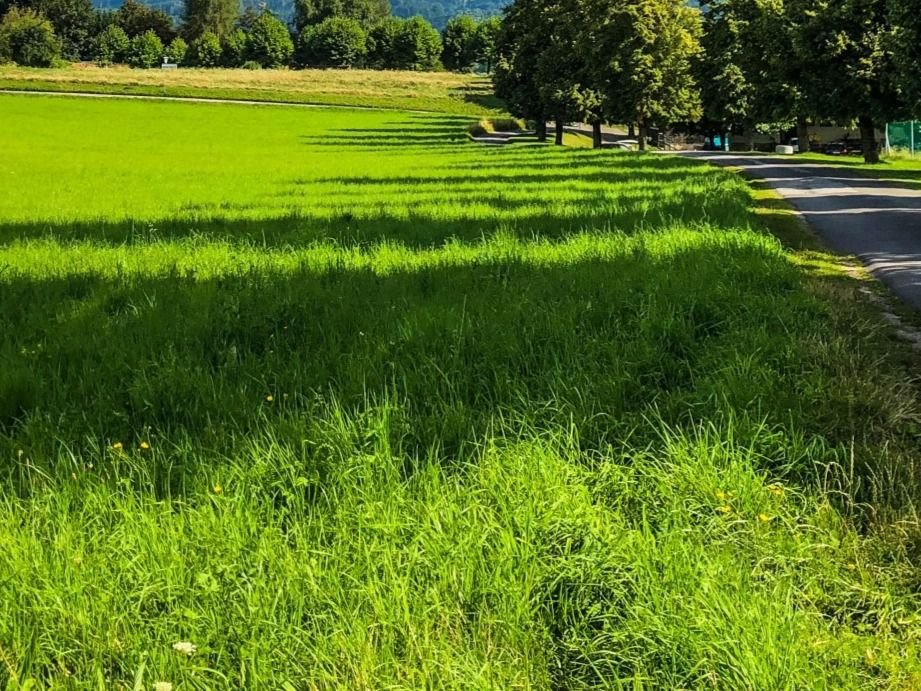 Działka budowlana na sprzedaż Juraszki  936m2 Foto 1