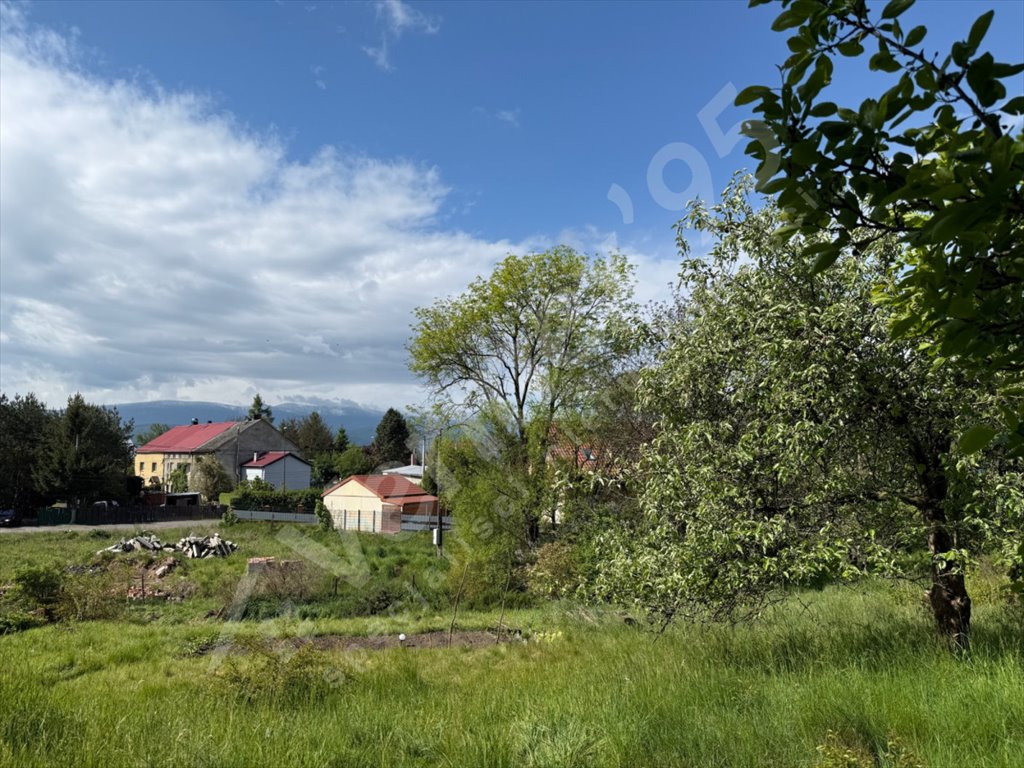 Działka budowlana na sprzedaż Jelenia Góra  1 118m2 Foto 1