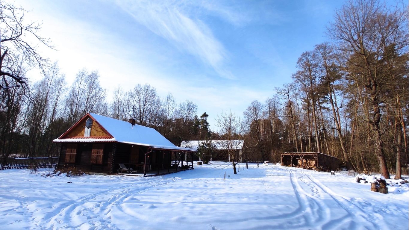 Działka siedliskowa na sprzedaż Janów Lubelski  172 850m2 Foto 5