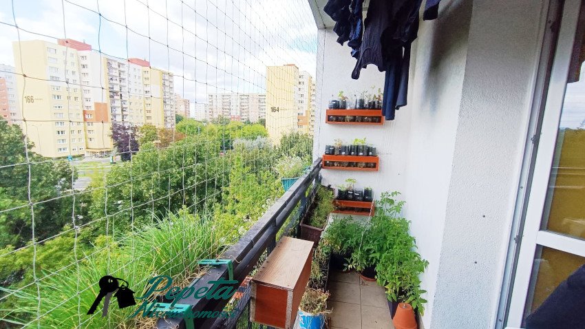 Mieszkanie dwupokojowe na sprzedaż Poznań, Grunwald, Grunwald Południe, Isaaka Newtona  42m2 Foto 1