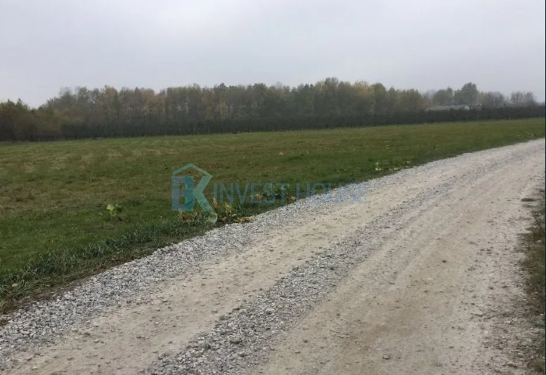 Działka rolna na sprzedaż Michrów-Stefów  9 300m2 Foto 5