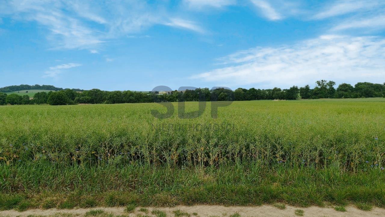 Działka przemysłowo-handlowa na sprzedaż Zawonia, Trzebnicka  21 620m2 Foto 9