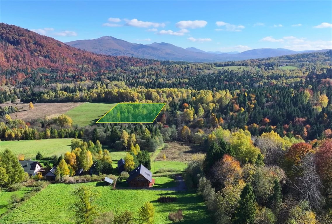 Zapraszam do zakupu działki 1,01 ha z potokiem i naturą Krzywe  10 100m2 Foto 1