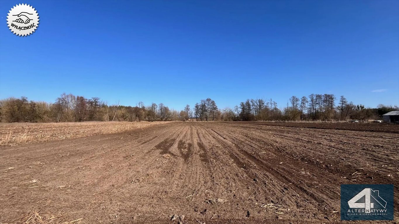 Działka z WZ w Bolimowskiej Wsi, 5000 m2, blisko natury Bolimowska Wieś  5 000m2 Foto 1