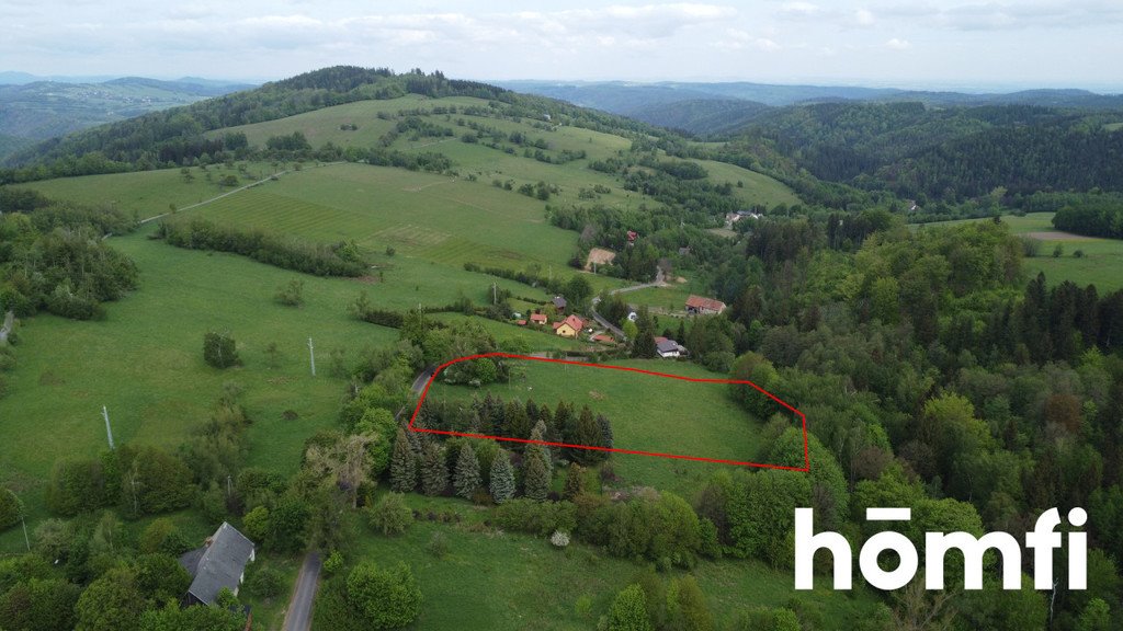 Działka inna na sprzedaż Walim, Wiejska  13 740m2 Foto 7