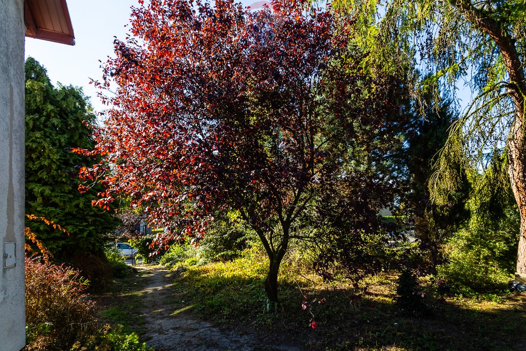 Dom na sprzedaż Brzeziny  91m2 Foto 16