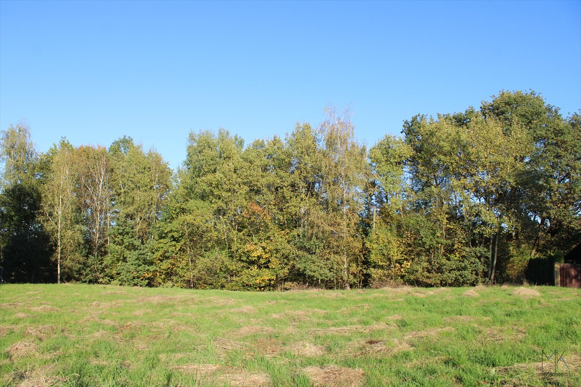 Działka budowlana na sprzedaż Kamionna  5 000m2 Foto 3