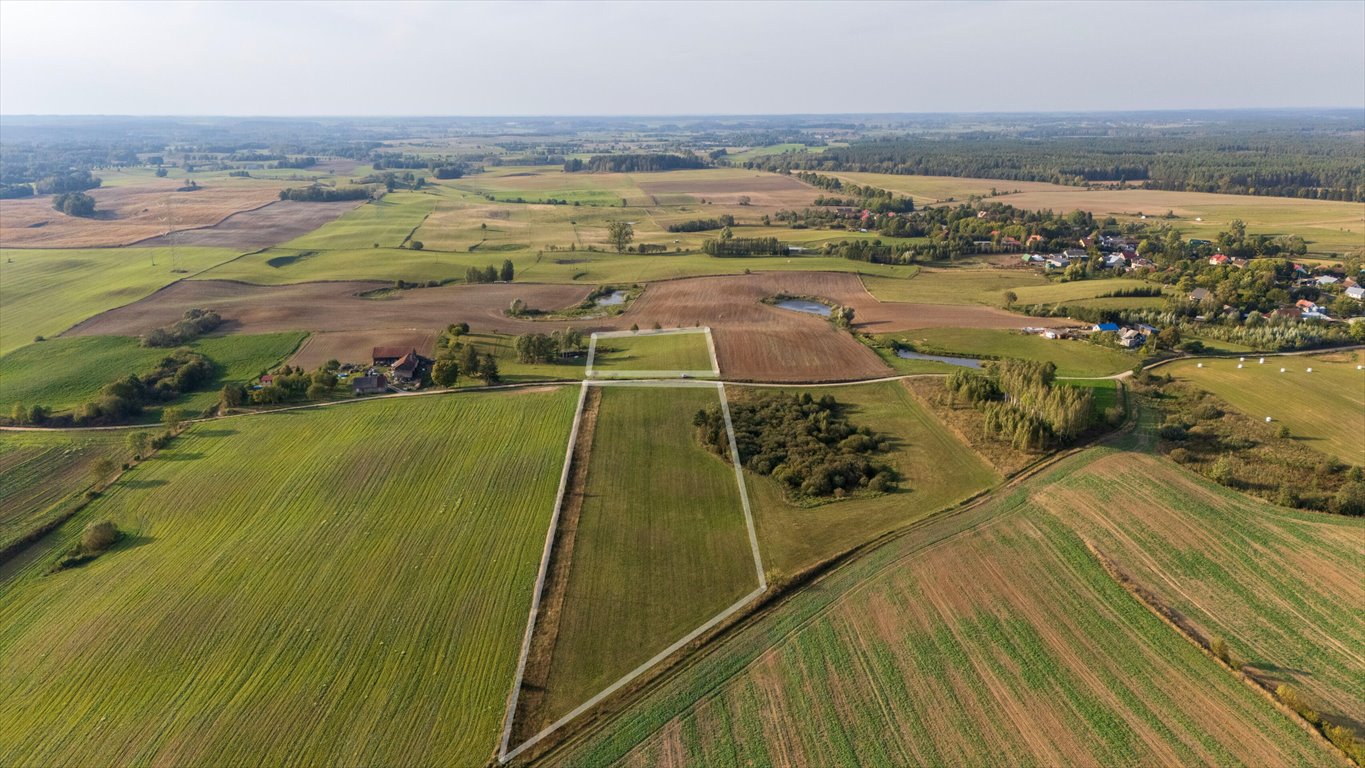 Działka rolna na sprzedaż Olszewki  13 200m2 Foto 8