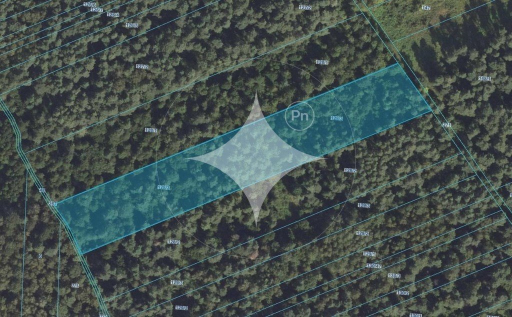 Działka leśna na sprzedaż Kowalewszczyzna  10 700m2 Foto 1