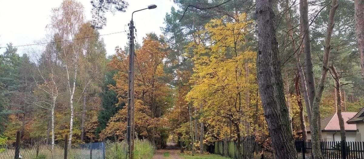 Działka budowlana na sprzedaż Warszawa, Wawer, Kwitnącej Akacji/Izbicka  6 636m2 Foto 3