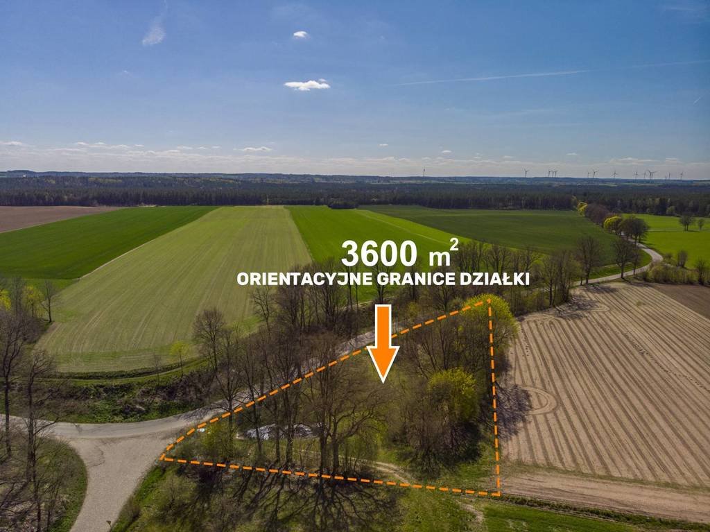 Działka budowlana na sprzedaż Storkowo  3 600m2 Foto 3