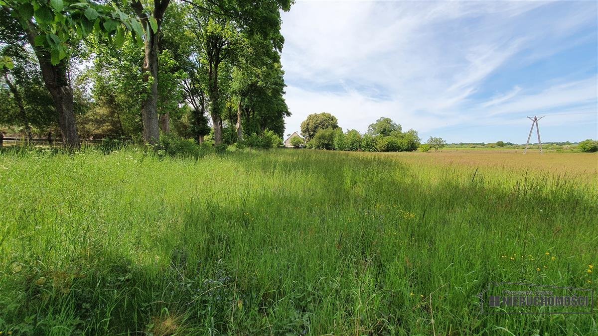 Działka inna na sprzedaż Nieżyn, działka  1 500m2 Foto 9