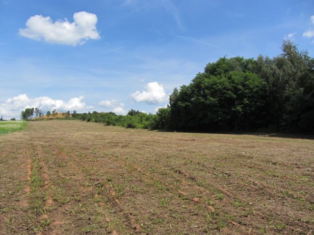 Działka budowlana na sprzedaż Myszkowice, Leśna  807m2 Foto 5