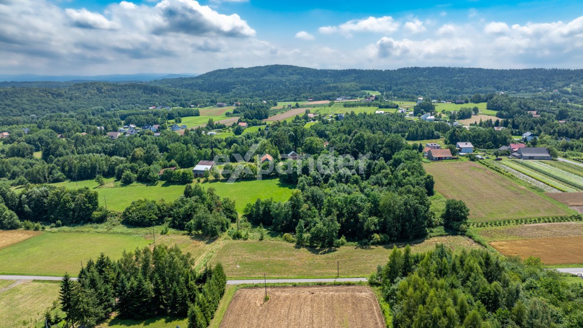 Działka budowlana na sprzedaż Kopytówka  8 158m2 Foto 1