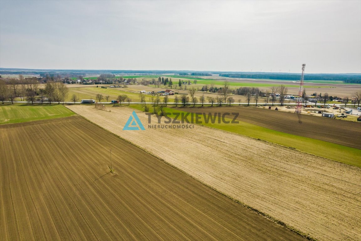 Działka rolna na sprzedaż Stara Dąbrowa  60 000m2 Foto 10