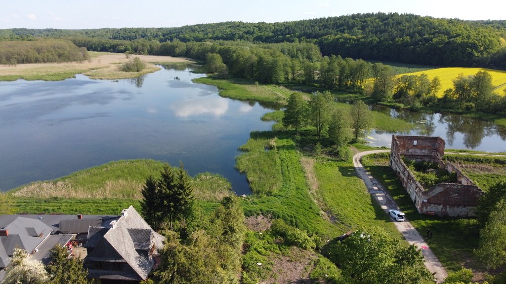 Działka 35 ha z ruinami papierni i stawami rybnymi Celejów  350 000m2 Foto 1
