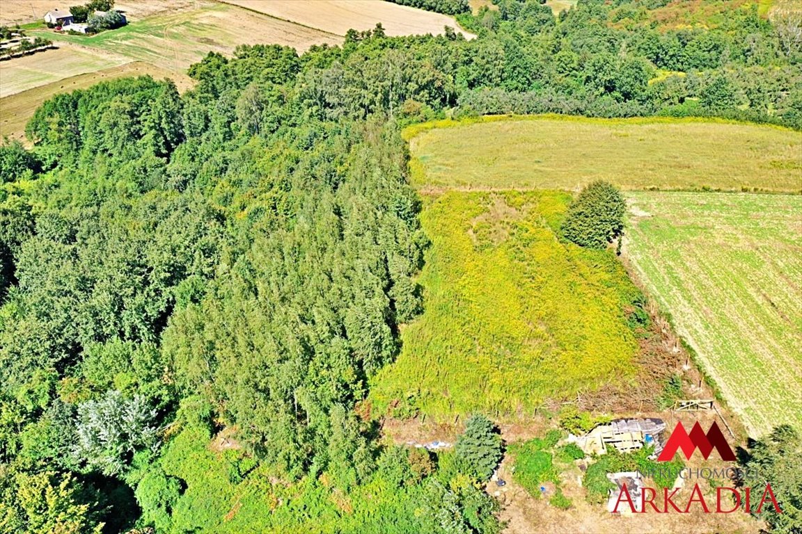 Działka budowlana na sprzedaż Dobrzyń nad Wisłą, Bachorzewo  3 099m2 Foto 4