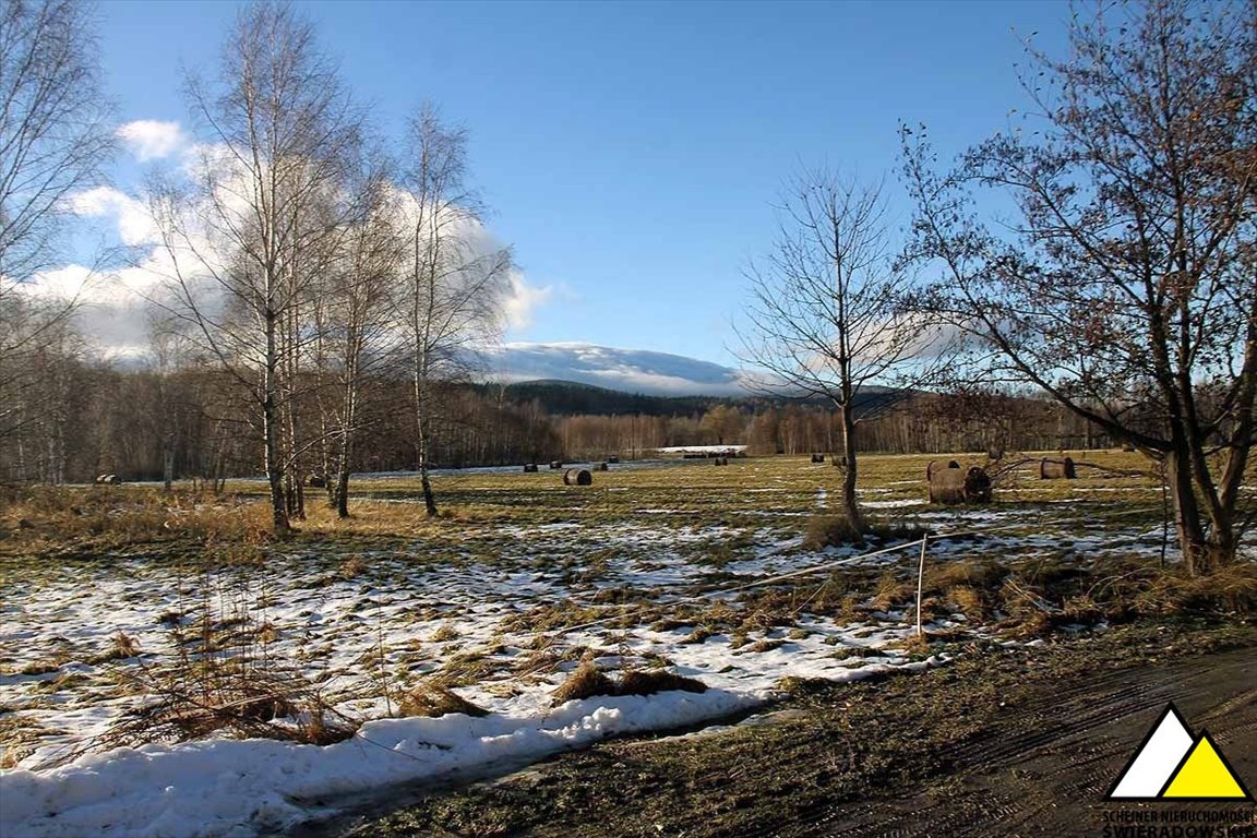 Widokowa działka 1737 m² w Orłowicach (warunki zabudowy) Orłowice, Orłowice  1 737m2 Foto 1