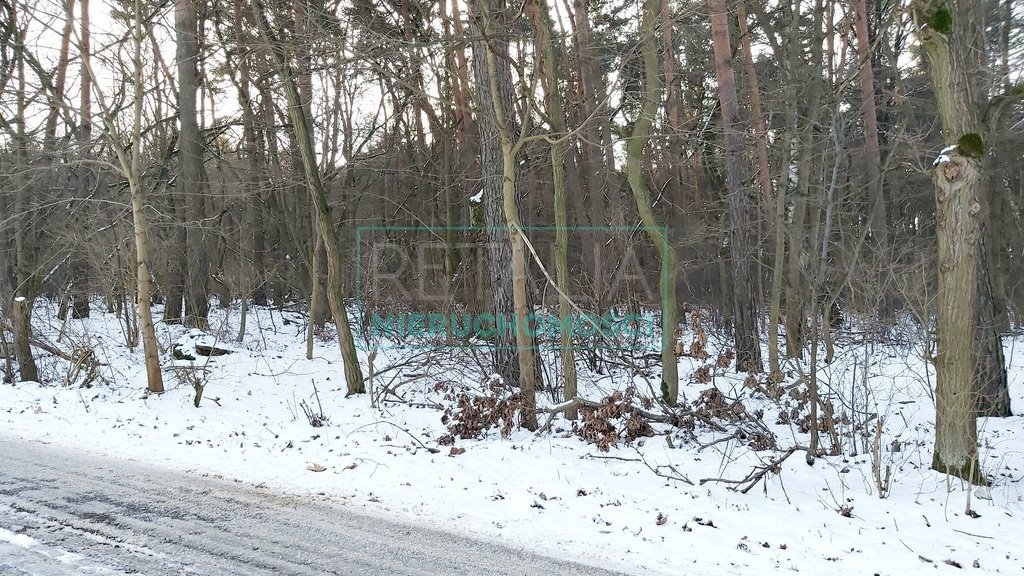 Działka leśna z prawem budowy na sprzedaż Książenice  4 951m2 Foto 7