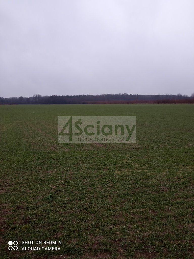 Działka 3000 m2 pod zabudowę, blisko Kampinosu i Wisły Kromnów  3 000m2 Foto 1